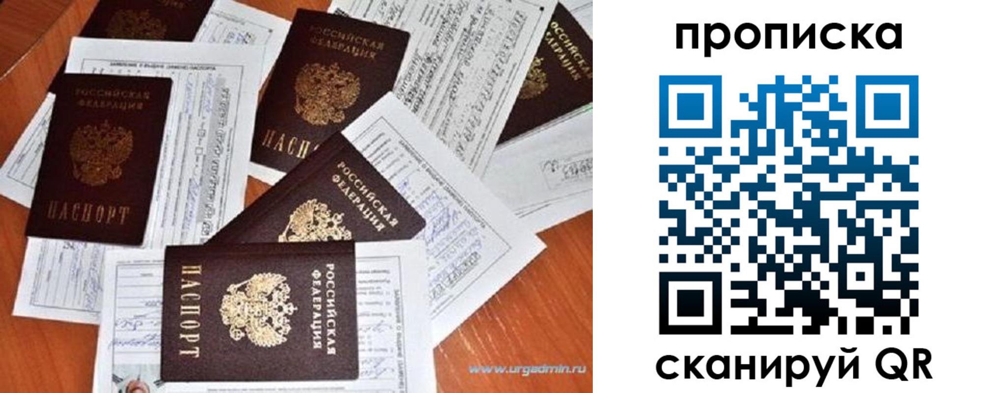 прописка в Стародубе